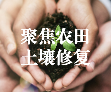 聚焦農(nóng)田土壤修復(fù)，保障糧食產(chǎn)品安全 ——踔厲奮發(fā)、篤行不怠，以奮斗之姿獻禮黨的二十大